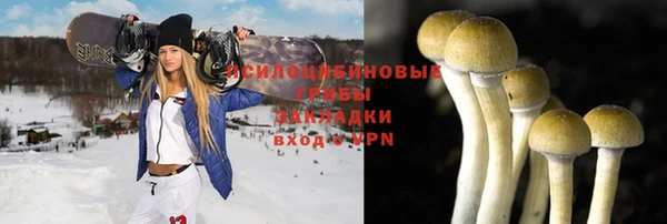 гашик Верхний Тагил
